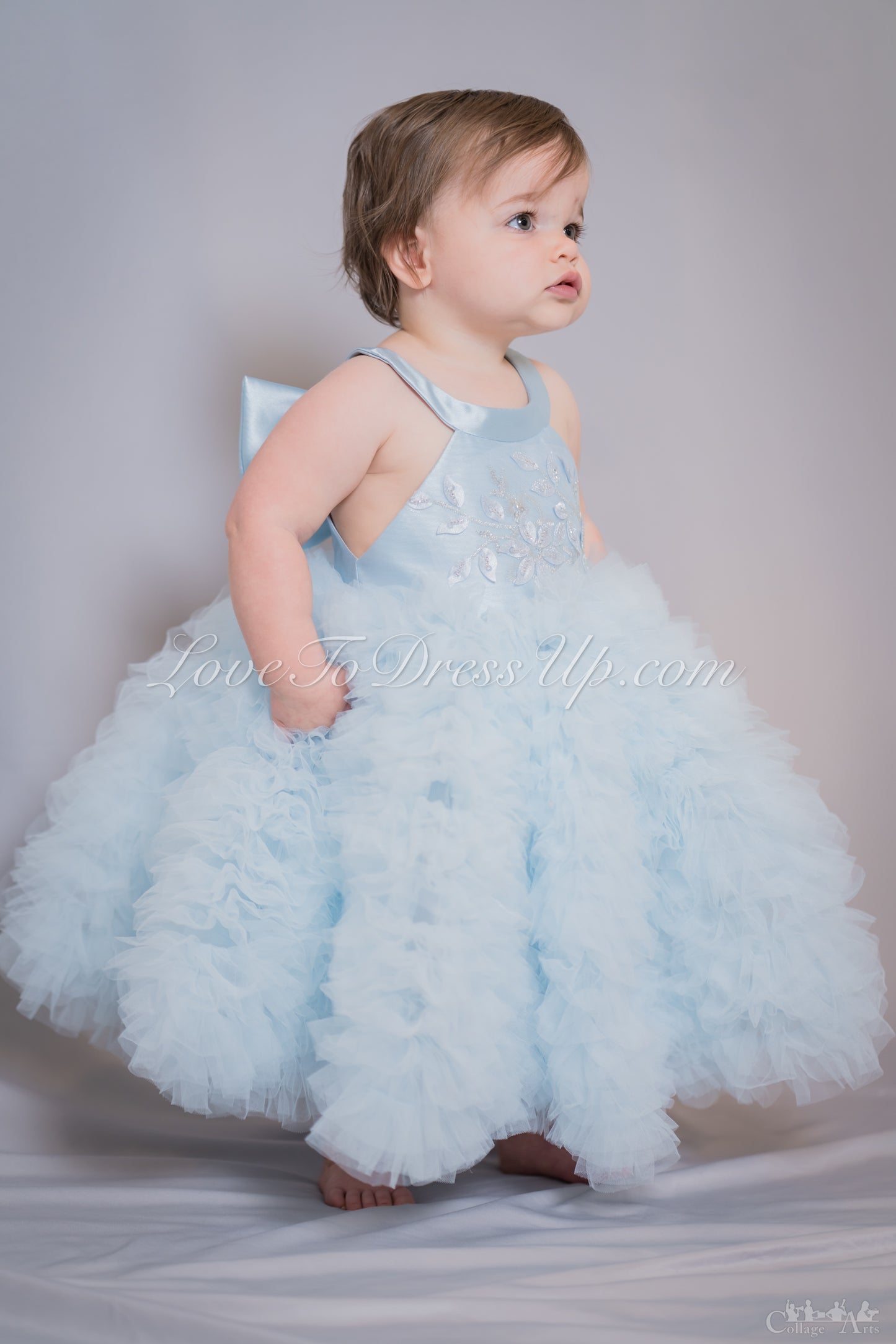 Pre-Order: Blue Fluffy Tulle Dress with Detachable Bow