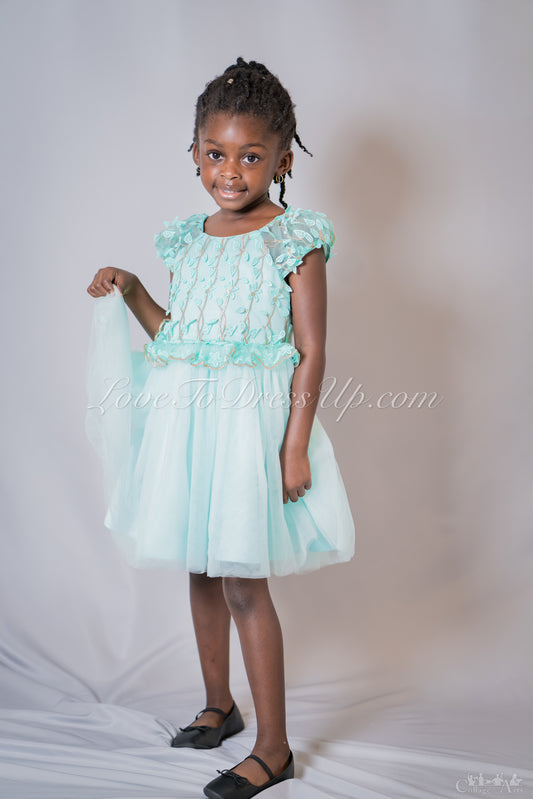 Appliqué Tulle Dress
