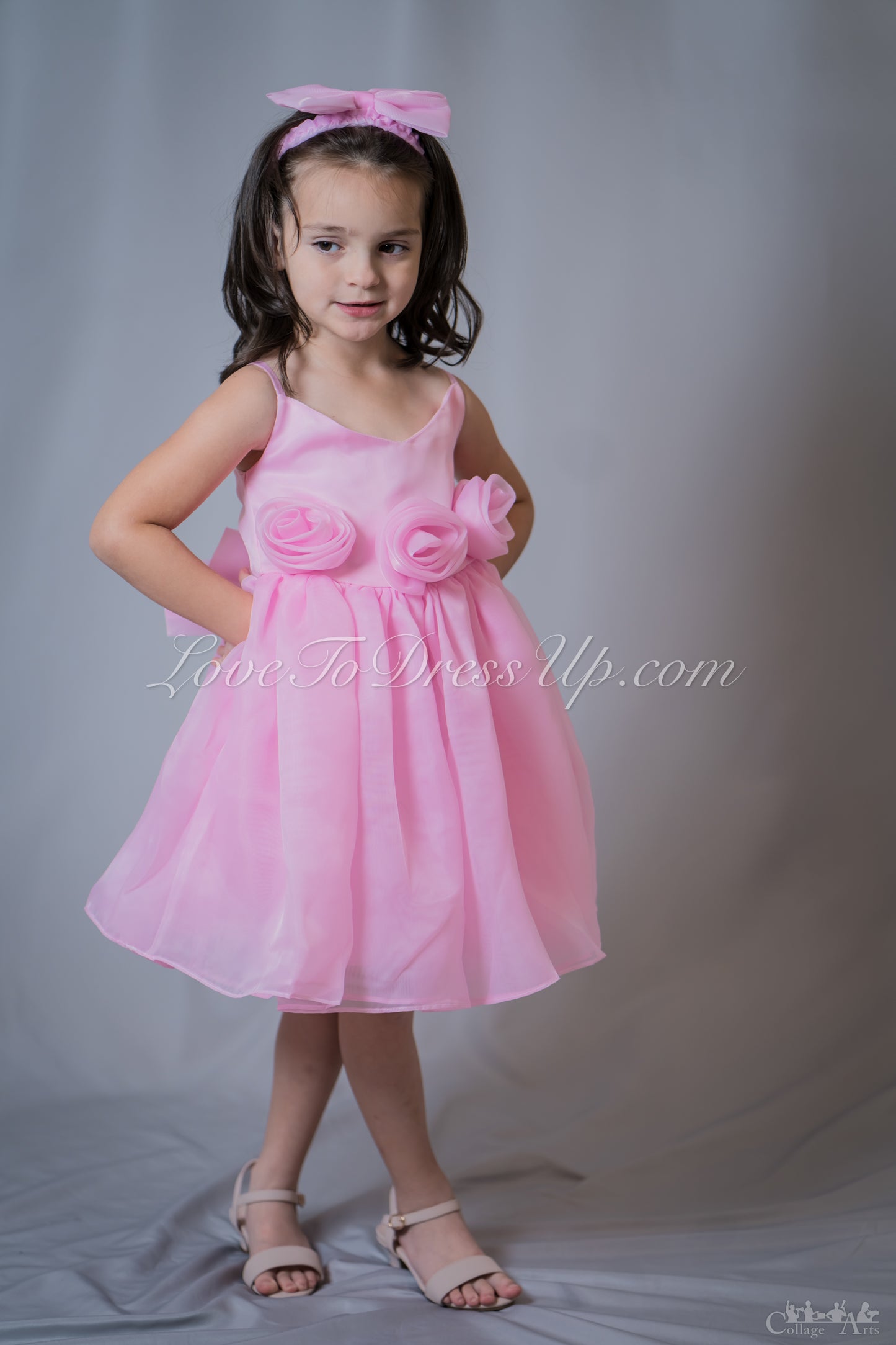 Pre-Order: Organza Pink Roses Dress