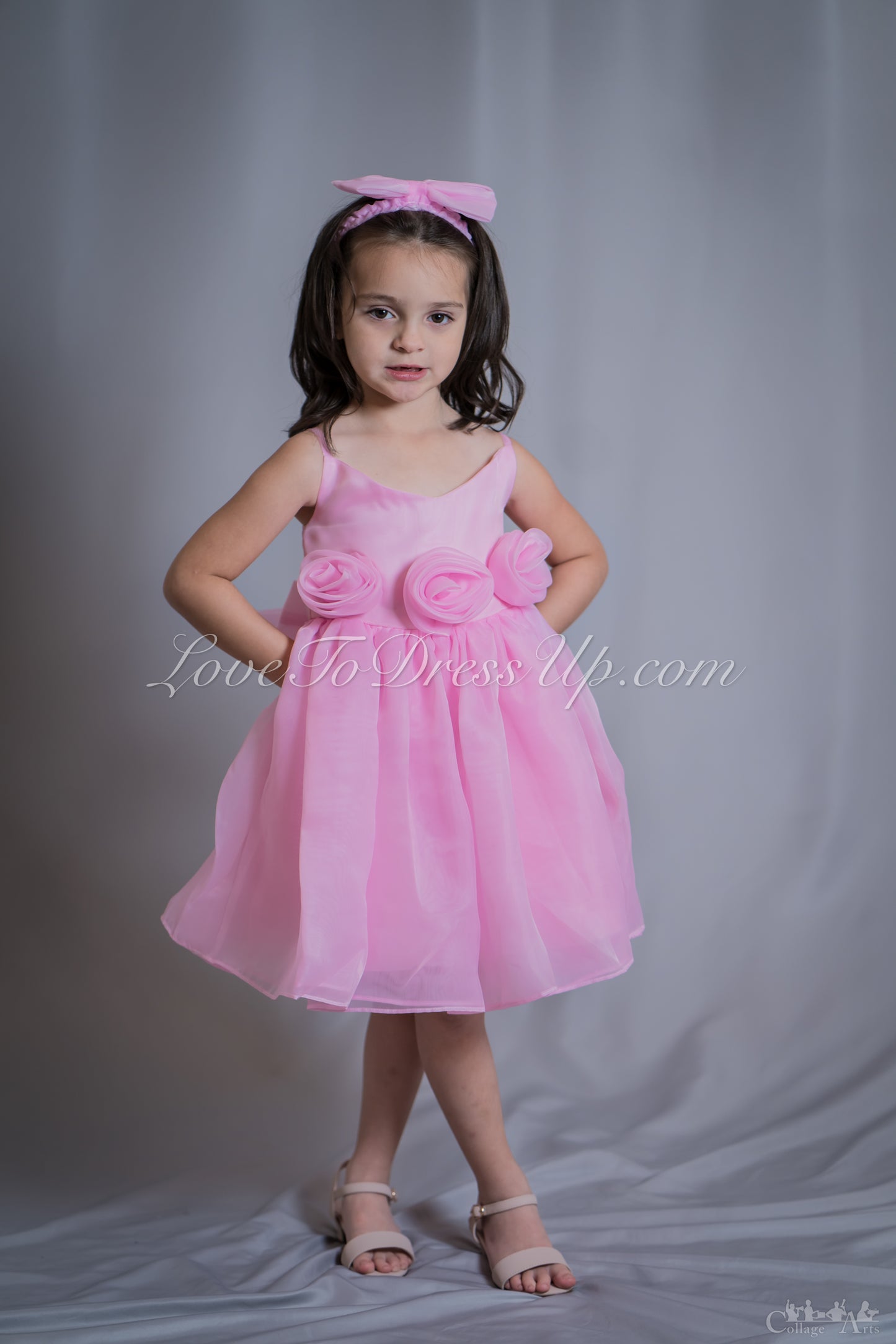 Pre-Order: Organza Pink Roses Dress