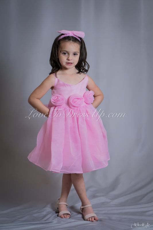 Pre-Order: Organza Pink Roses Dress