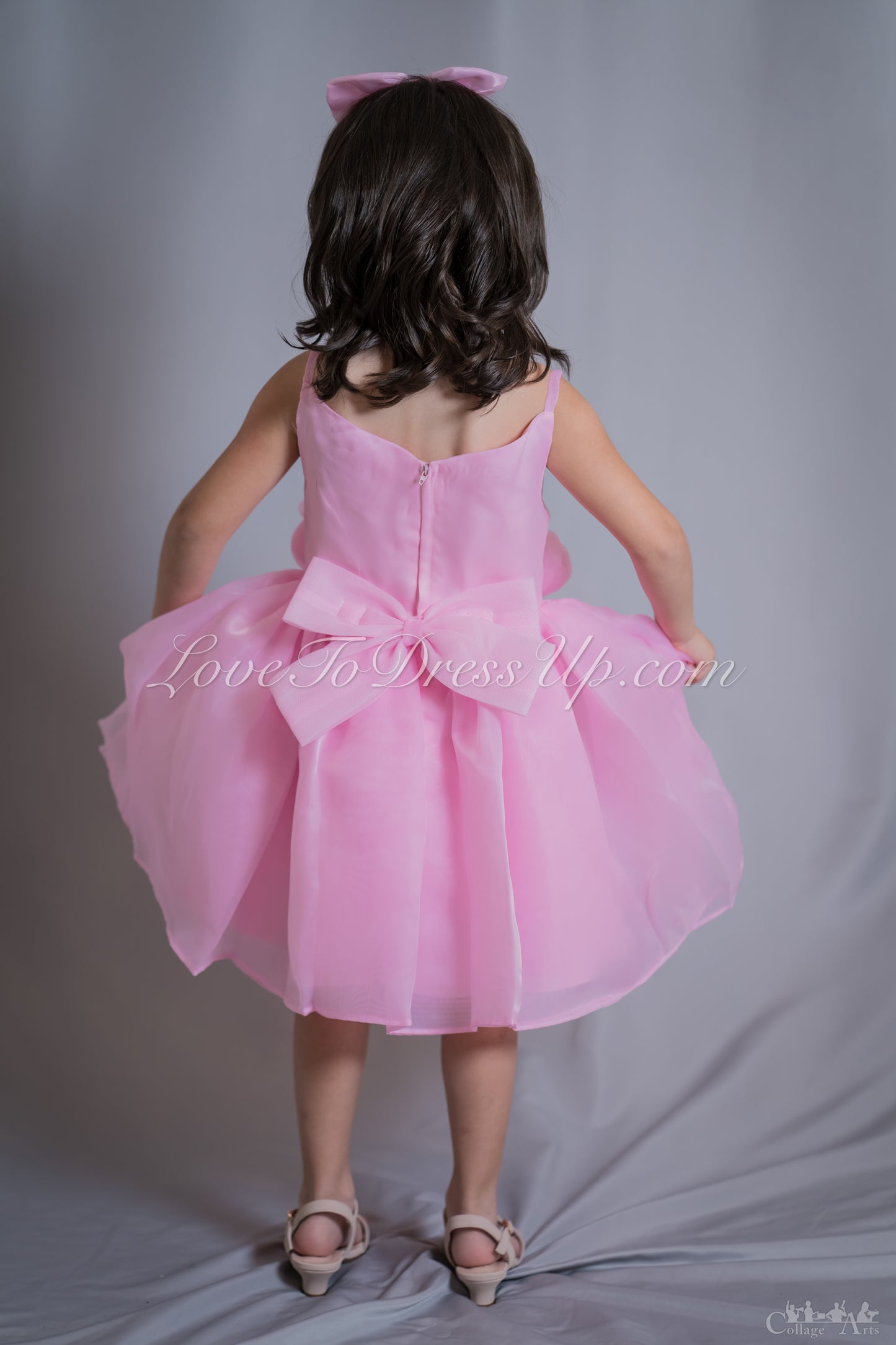 Pre-Order: Organza Pink Roses Dress