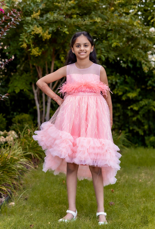 Blush Sparkle Feather Tulle Dress